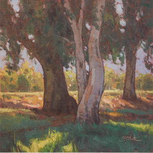 Quiet Shade, 12x12 Giclee Print on Paper by Dan Schultz